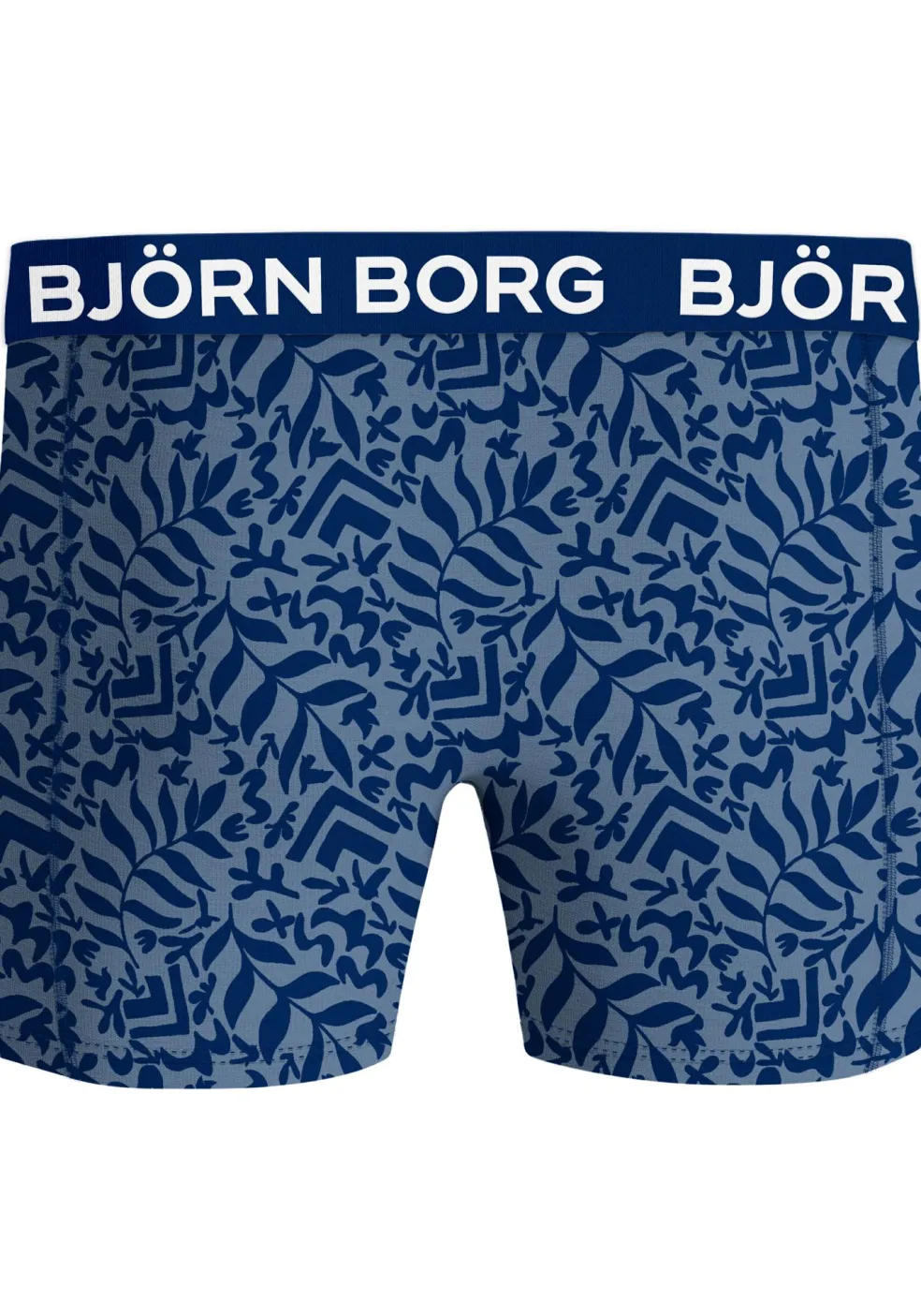 Bjorn Borg Bamboo Cotton Blend boxers, heren boxers normale lengte (2-pack), blauw, print
