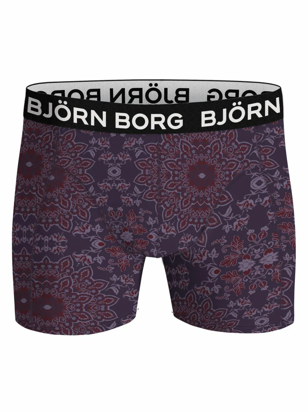Bjorn Borg Bamboo Cotton Blend boxers, heren boxers normale lengte (2-pack), multicolor