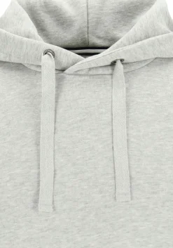 Bjorn Borg hoodie sweatshirt, heren trui met capuchon dik, lichtgrijs melange