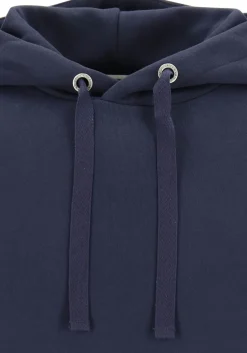 Bjorn Borg hoodie sweatshirt, heren trui met capuchon dik, blauw