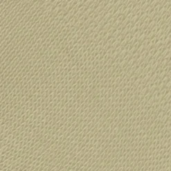 Burlington Aberdeen dames invisible sokken, beige (cream)