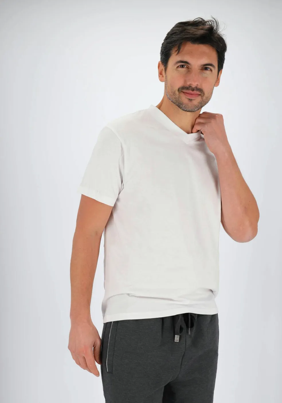 Gotzburg heren T-shirts regular fit V-hals (2-pack), wit