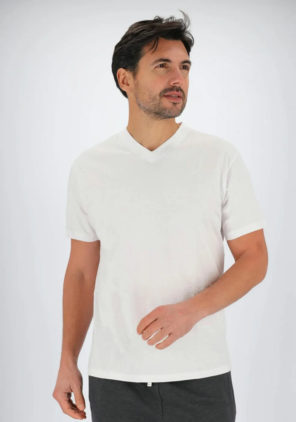 Gotzburg heren T-shirts regular fit V-hals (2-pack), wit