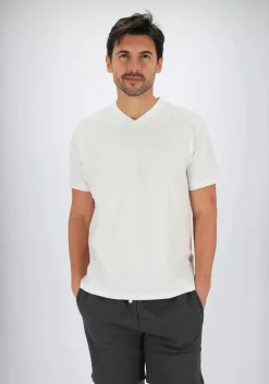 Gotzburg heren T-shirts regular fit V-hals (2-pack), wit