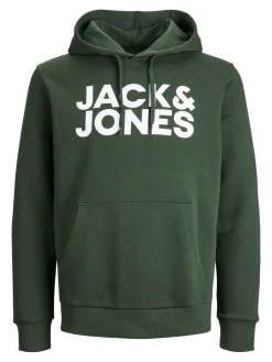 JACK & JONES Corp logo sweat hood regular fit, heren hoodie katoenmengsel met capuchon, groen grote print