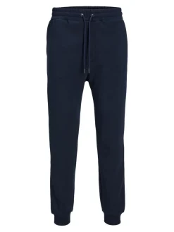 JACK & JONES Gordon Bradley Sweat Pant regular fit, heren joggingbroek, blauw