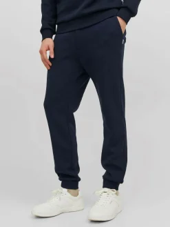 JACK & JONES Gordon Bradley Sweat Pant regular fit, heren joggingbroek, blauw