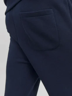 JACK & JONES Gordon Bradley Sweat Pant regular fit, heren joggingbroek, blauw
