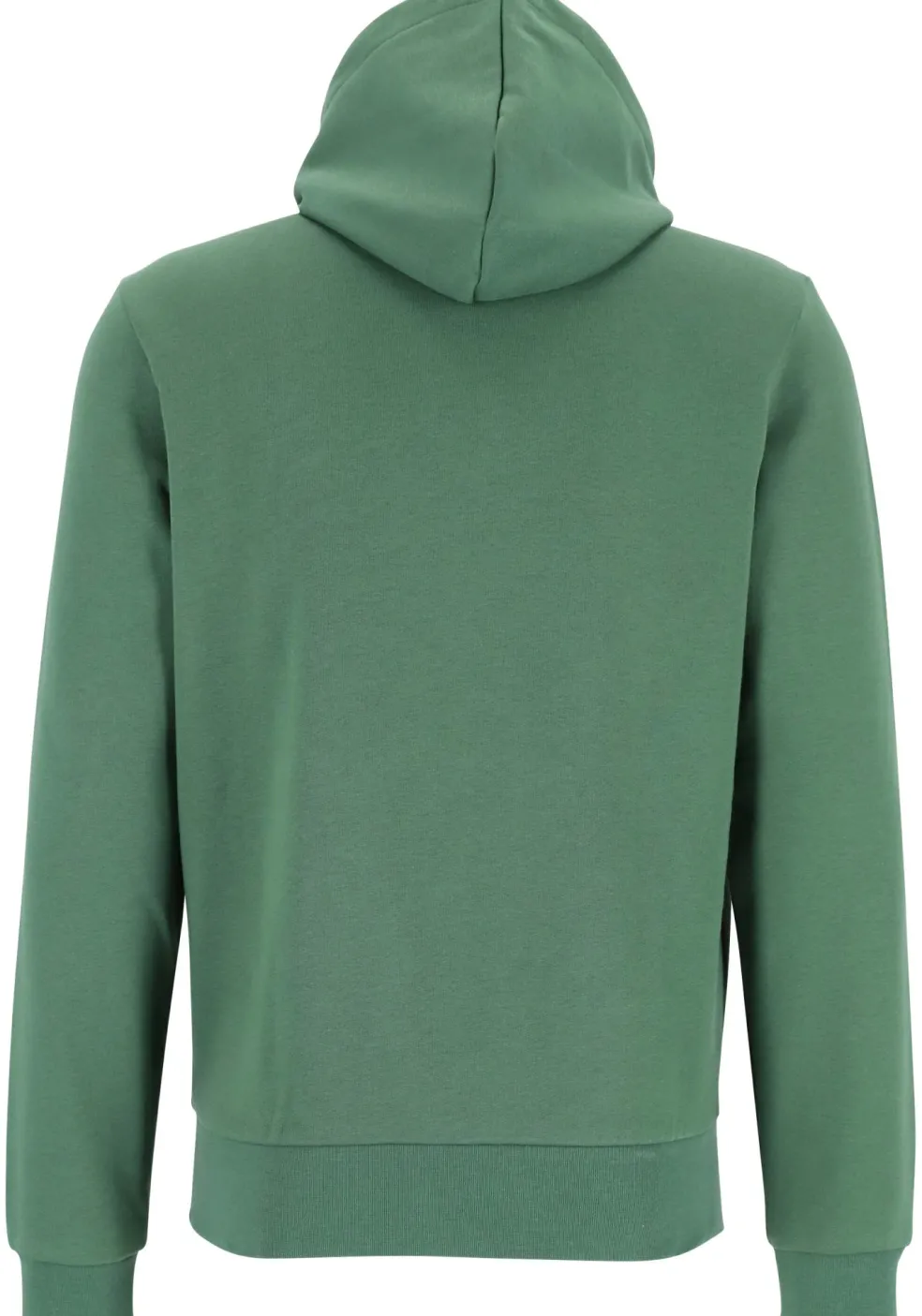 Lacoste heren hoodie sweatshirt, Sequoia groen