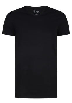 RJ Bodywear Everyday Gouda T-shirts (2-pack), heren T-shirts V-hals smal, zwart