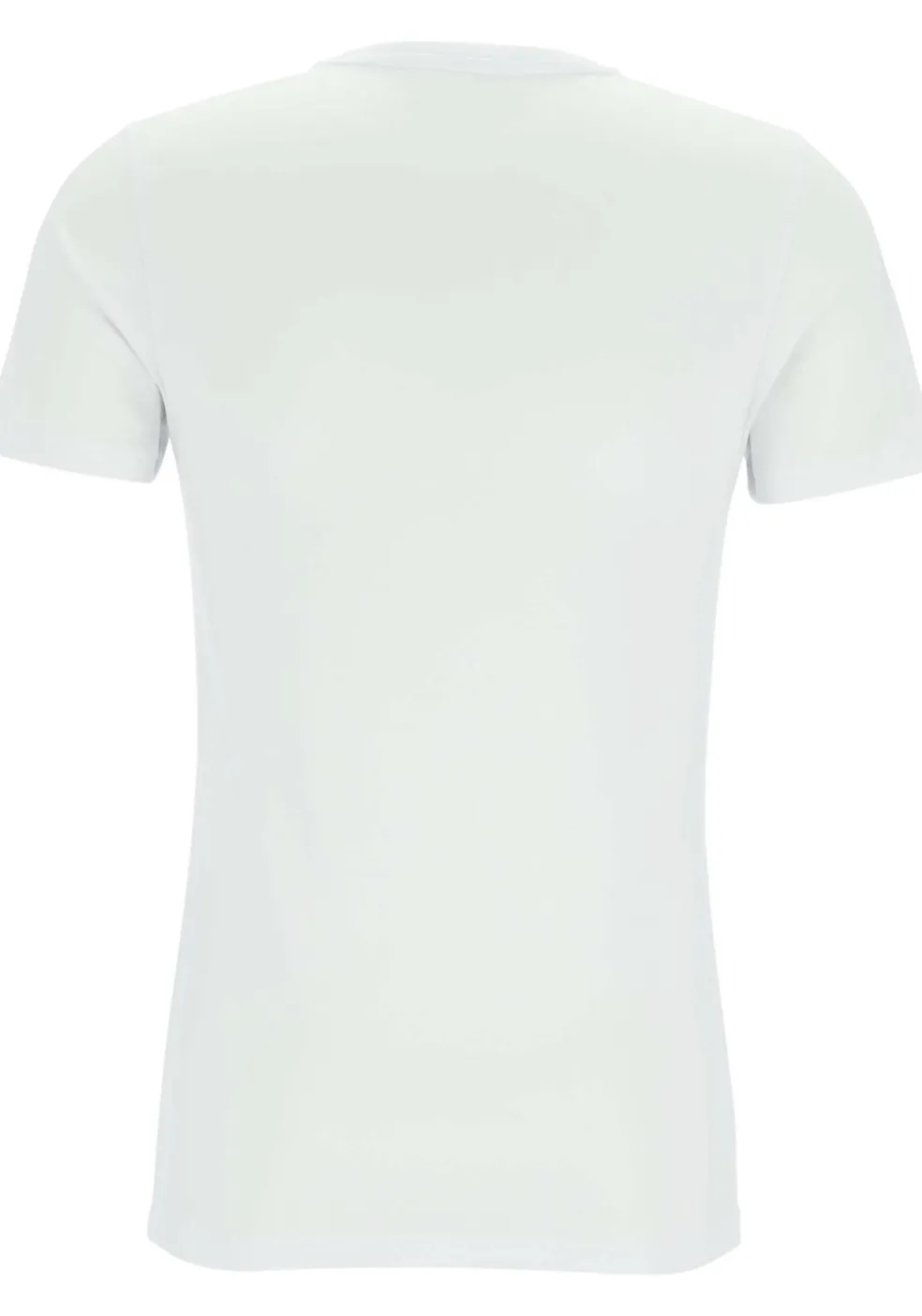 TEN CATE Basics men T-shirt (2-pack), heren T-shirts O-hals, wit