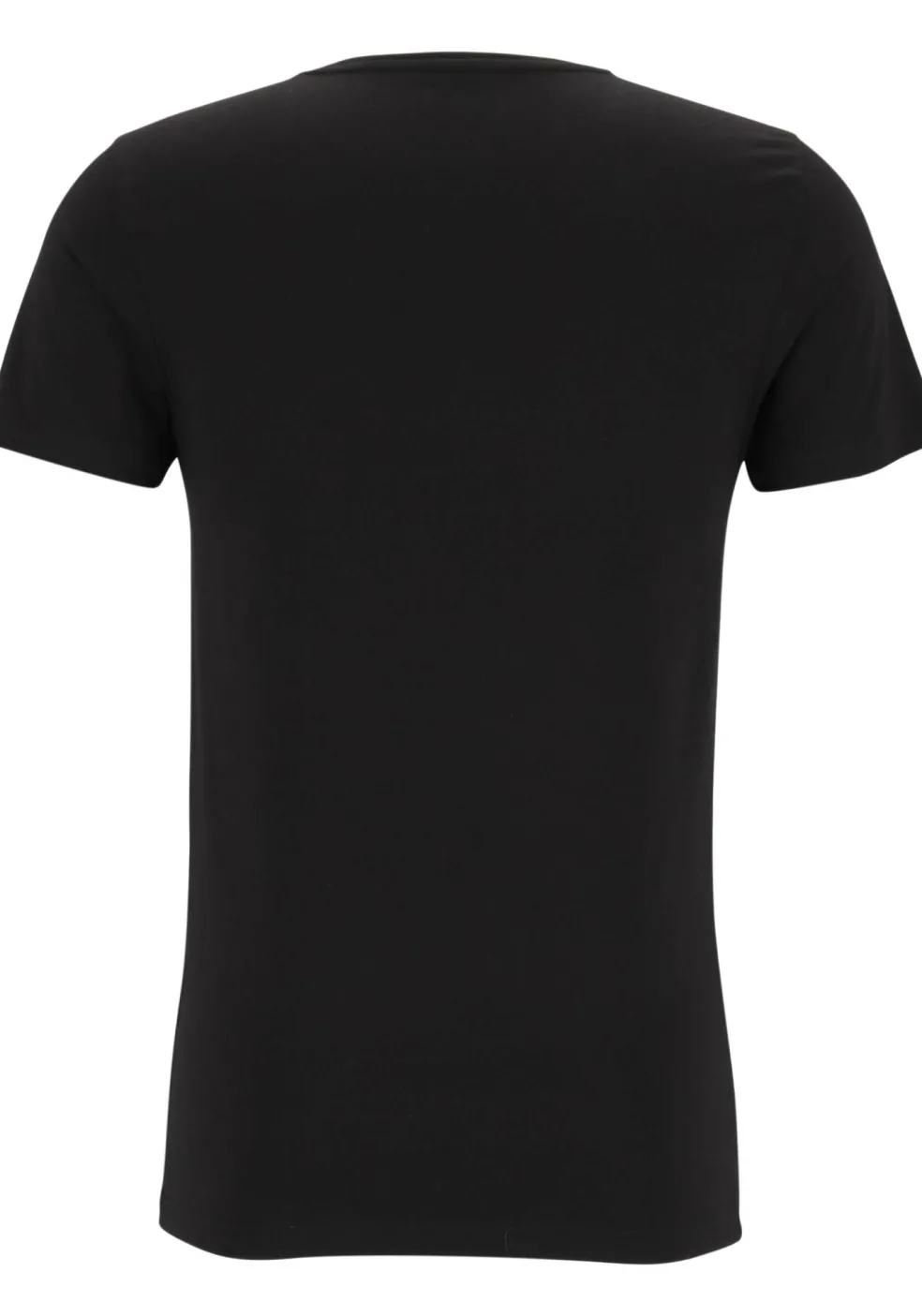 TEN CATE Basics men T-shirt (2-pack), heren T-shirts O-hals, zwart